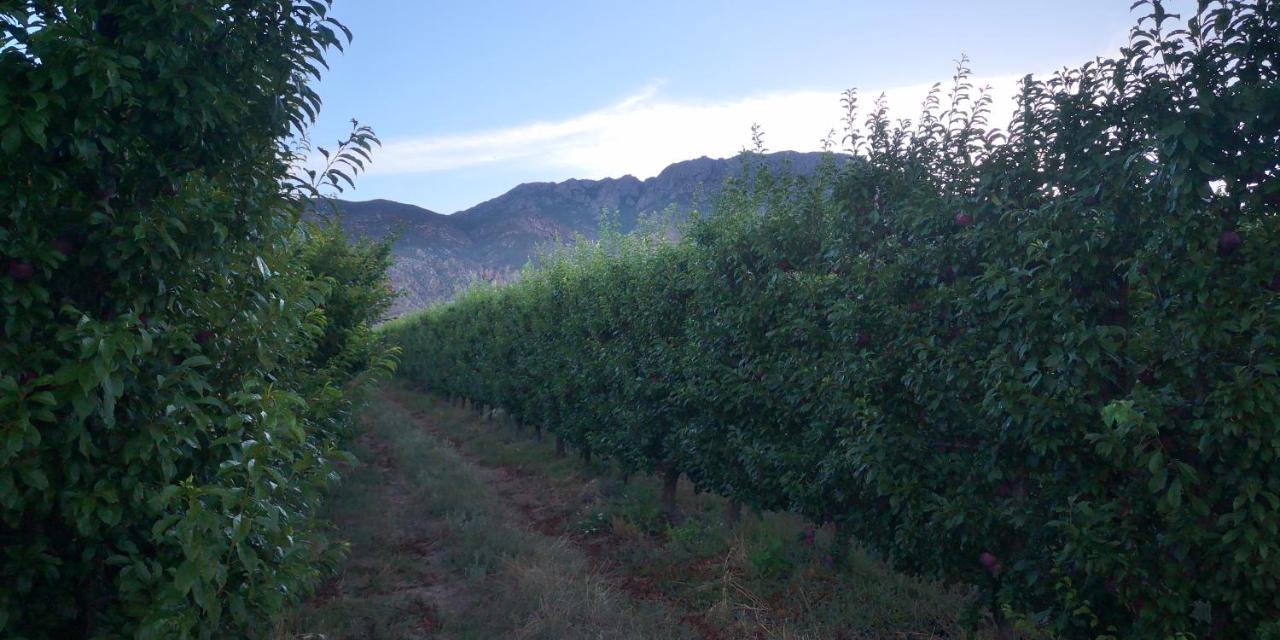 Lank-Gewag Farm Cottage With Private Hottub Montagu Bagian luar foto